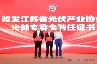 南京冠隆电力科技有限公司