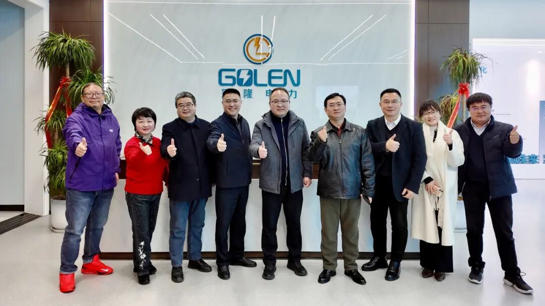 南京冠隆电力科技有限公司 南京冠隆电力科技有限公司