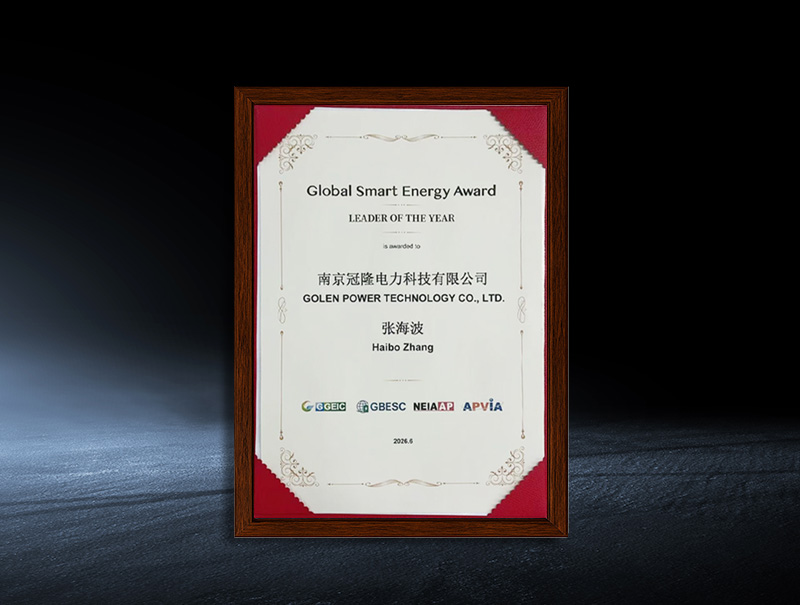 Global Smart Energy Award: LEADER OF THE YEAR