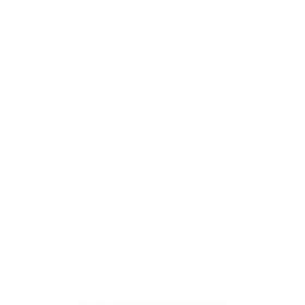电网支撑