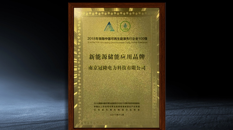 领跑中国可再生能源先行企业100强-新能源储能应用品牌